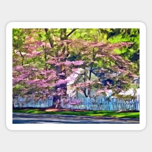 Spring - White Picket Fence by Flowering Trees Sticker